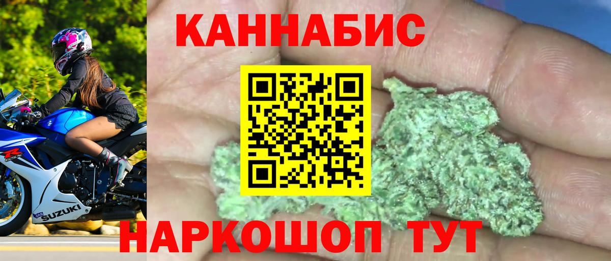 Конопля марихуана Острогожск